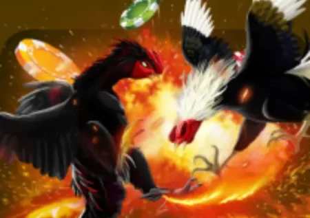 Cockfighting