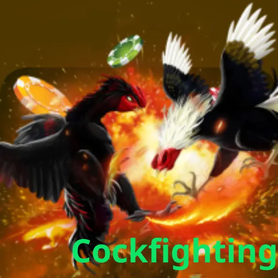 Cockfighting